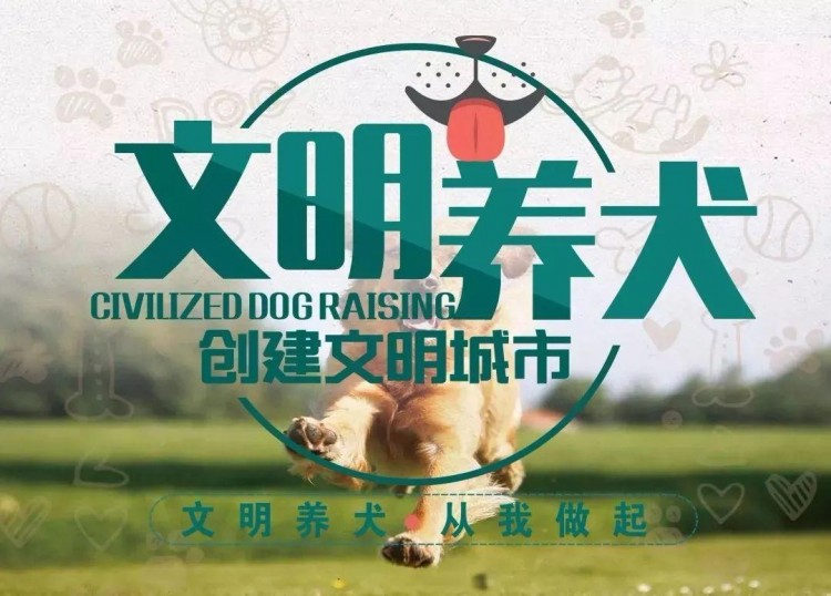 严查！北仑限制养犬范围公布！如何给狗狗上户口